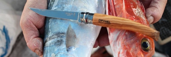 Нож филейный Opinel №12, нержавеющая сталь, рукоять оливковое дерево, 001145 Нож филейный Opinel №12, нержавеющая сталь, рукоять оливковое дерево, 001145