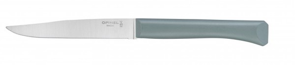 Нож столовый Opinel N°125, полимерная ручка, нерж, сталь, шалфей. 002195 Нож столовый Opinel N°125, полимерная ручка, нерж, сталь, шалфей. 002195